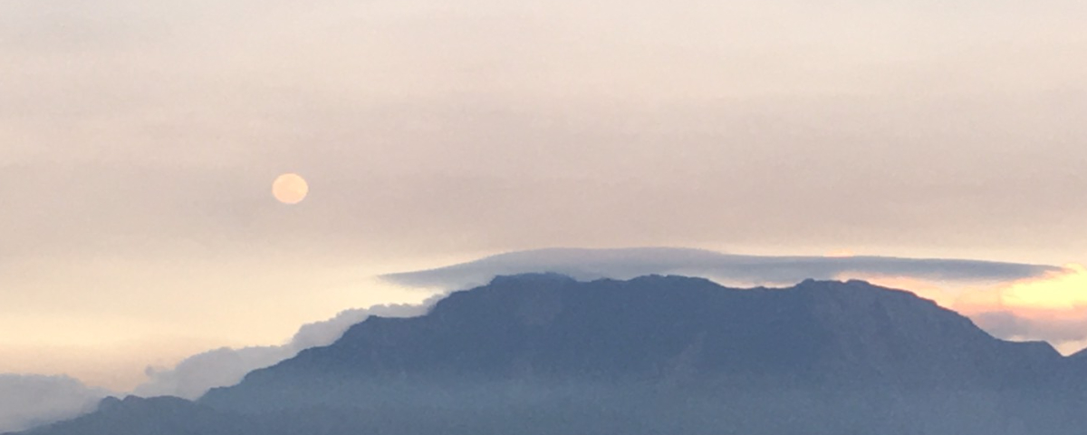 連結到114學年度「張鳳燕教授傑出論文獎」